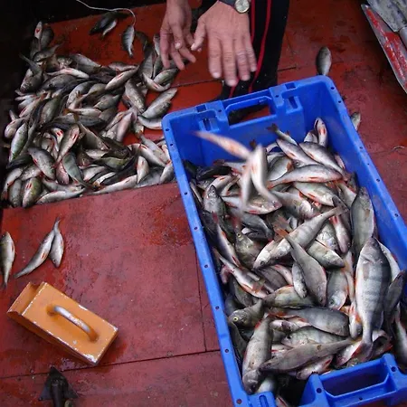 Fishermans On Peipsi Lake In *