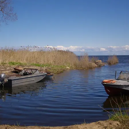 Fishermans On Peipsi Lake In Auberge de jeunesse Rootsikula (Tartu)