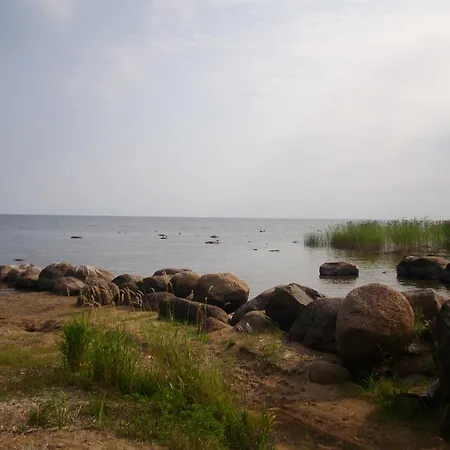Fishermans On Peipsi Lake In Rootsikula (Tartu)
